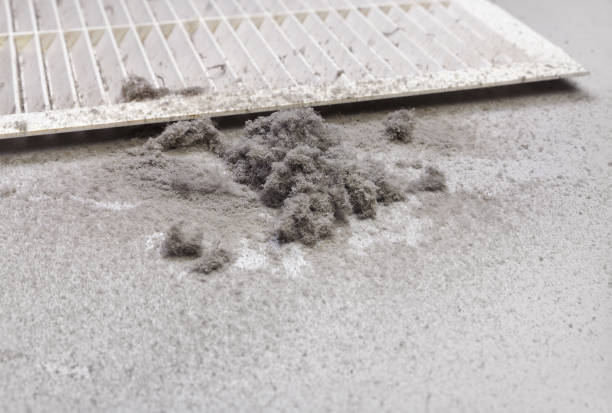 Best HVAC Maintenance and Cleaning  in Grayslake, IL