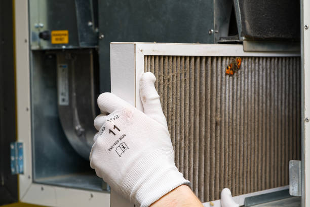 Best Affordable Duct Cleaning Services  in Grayslake, IL