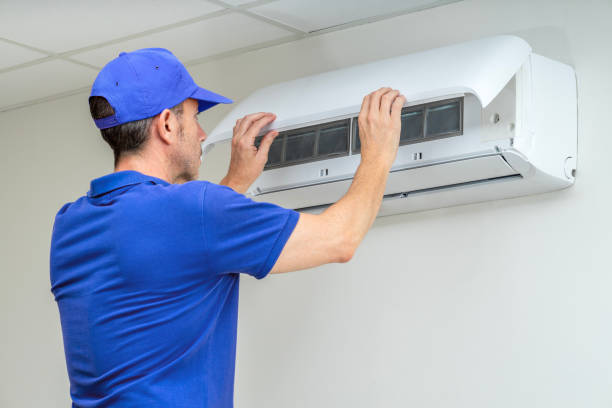 Best Home Air Vent Cleaning  in Grayslake, IL